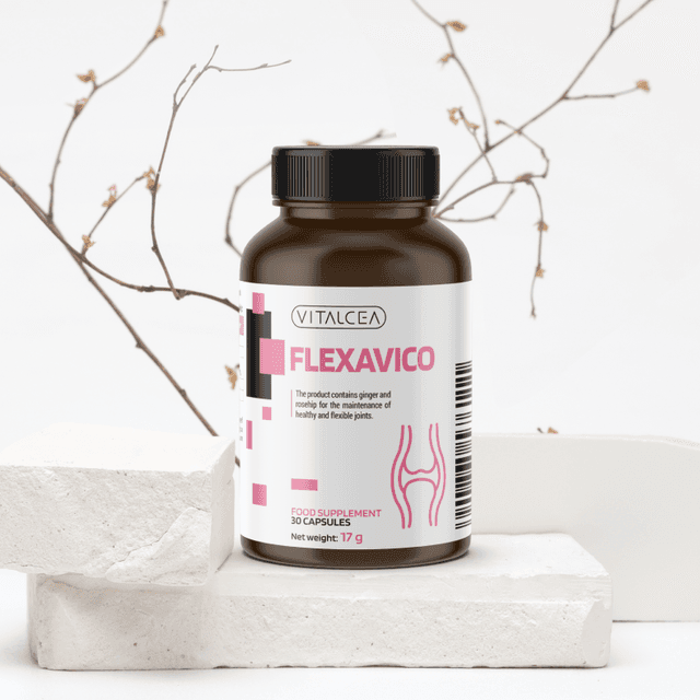 Flexavico ES Frontend